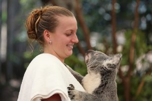 Petra Kvitova visits Lone Pine Koala Sanctuary before the start of the Brisbane International. GETTY IMAGES.